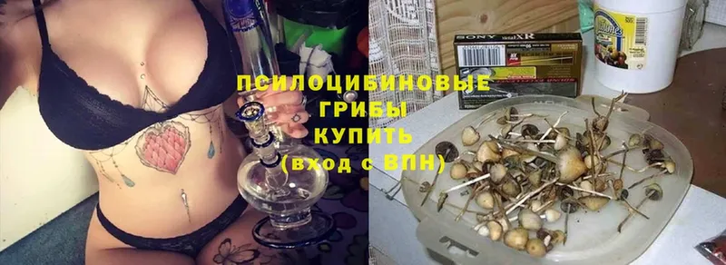 Псилоцибиновые грибы GOLDEN TEACHER  ссылка на мегу вход  Челябинск  наркотики 