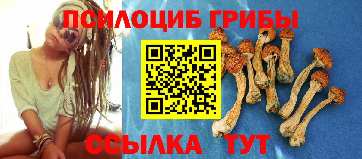 Псилоцибиновые грибы Psilocybine cubensis  Челябинск 
