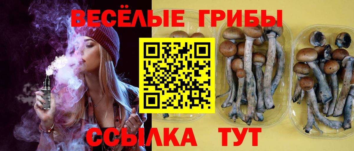 Галлюциногенные грибы GOLDEN TEACHER  Вход с VPN  Челябинск 
